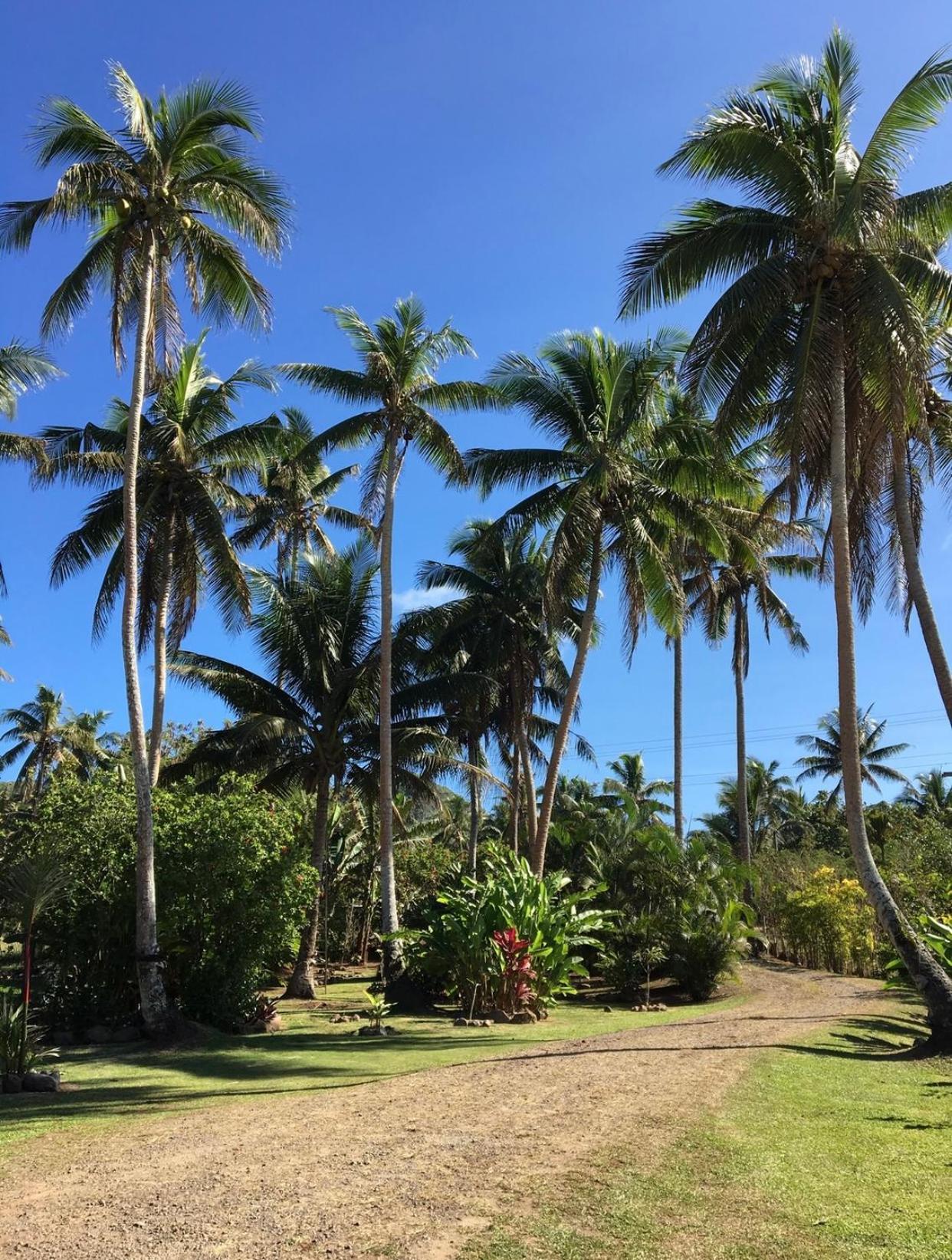 Island Breeze Fiji Villa Savusavu Szoba fotó